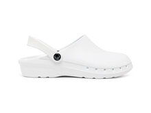 Suecos oden fusion wit