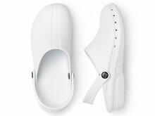 Suecos oden fusion wit