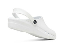 Suecos oden fusion wit