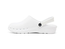 Suecos oden fusion wit